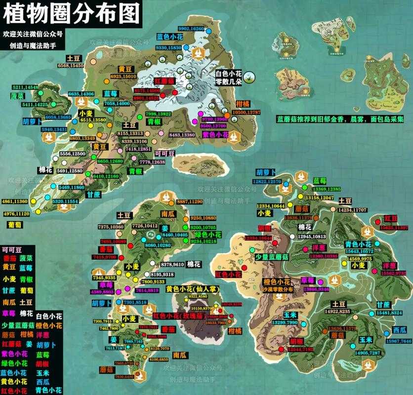 创造与魔法轻量化界面设置,优化游戏资源管理的关键策略