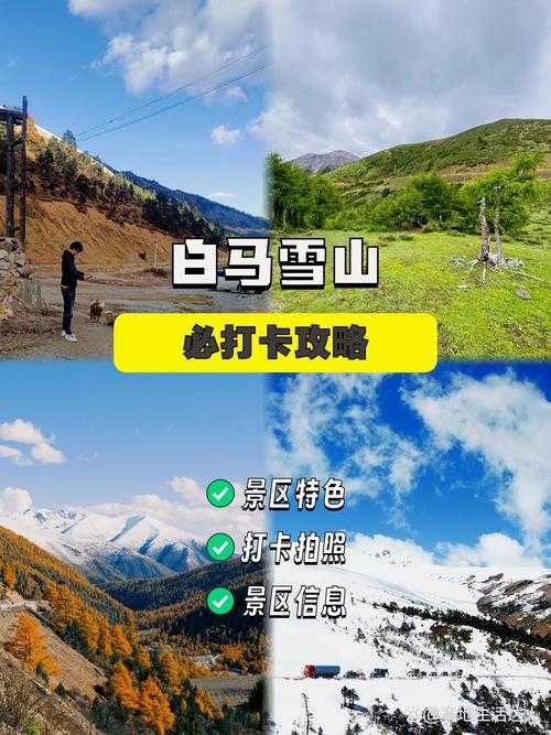 雪山深处的未知挑战，究竟怎样才能成为征服雪山来客的高手？